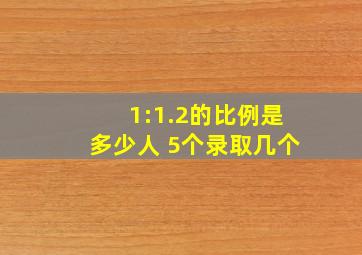 1:1.2的比例是多少人 5个录取几个